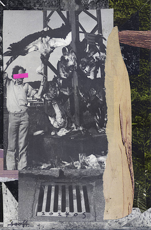 dead birds. collage with printed matter.