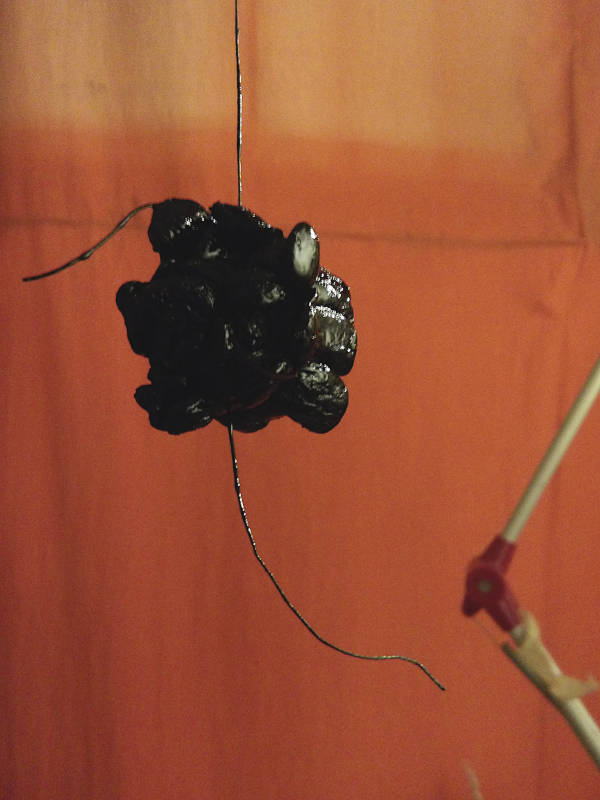 a black sculpture hanging in front of a red cloth, a desk lamp is visible in the background. digital photography