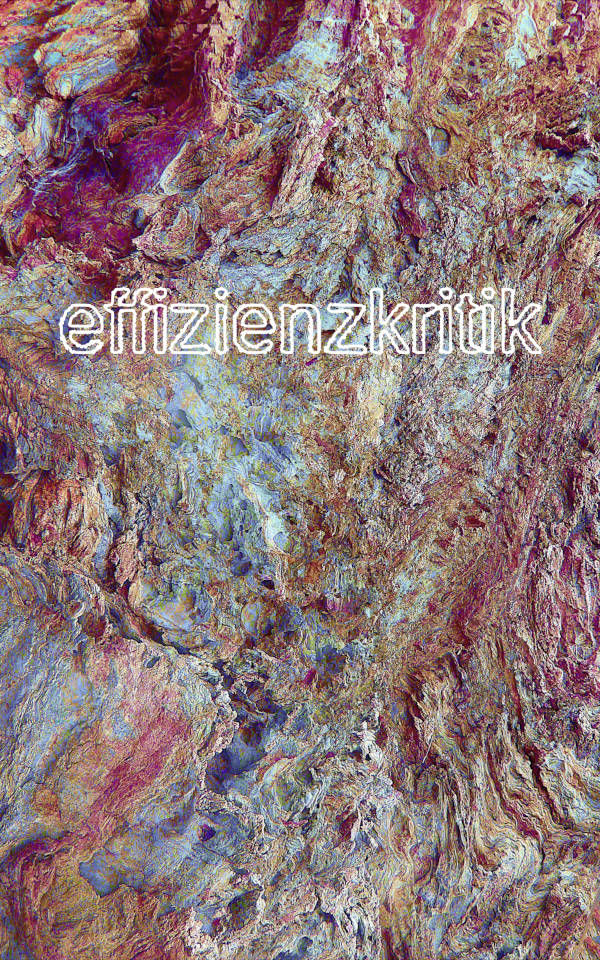 effizienzkritik