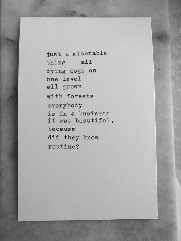 just a miserable
thing all
dying dogs on
one level
all grown
with forests
everybody
is in a business
it was beautiful,
because
did they know
routine?