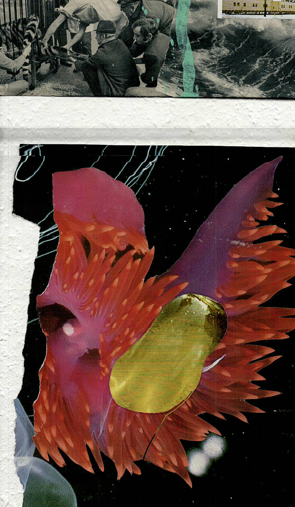 collage with printed matter