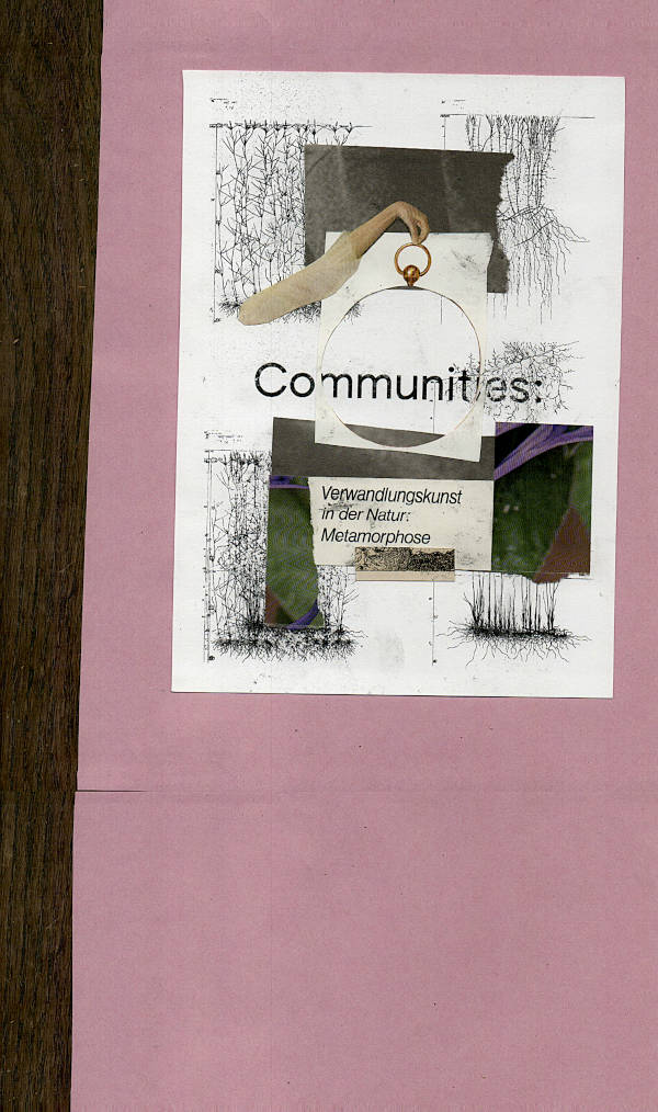 «Nature’s Masters of Transformation: Metamorphosis»