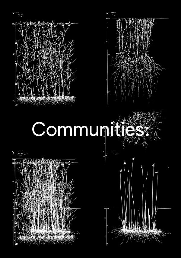 «Communities:»